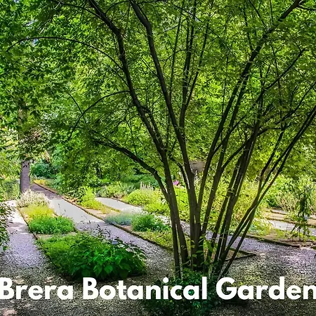 Διαμέρισμα Brera Vip Spotlight - Brera - Duomo - Castello Sforzesco - Lanza Metro M2